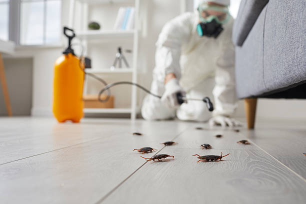Commercial Kitchen Cockroach Control in Katy